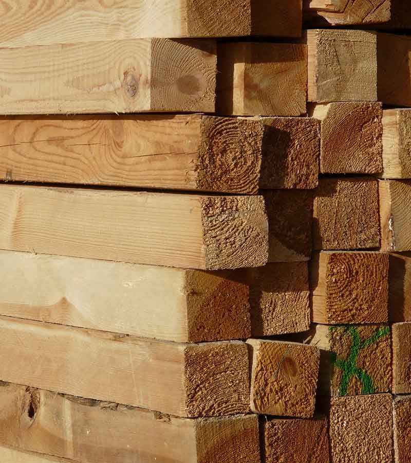 Les essences de bois résineux pour la construction de charpentes et ossatures bois